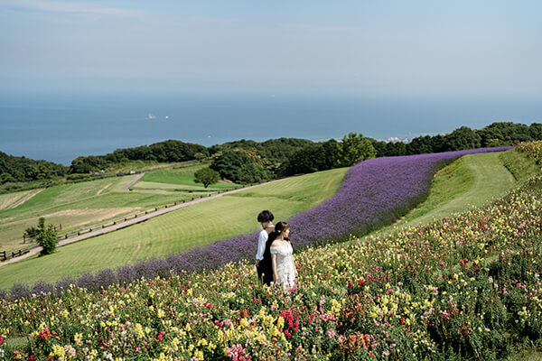 撮影 淡路島