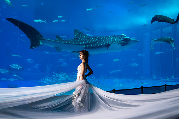 沖繩美麗海水族館